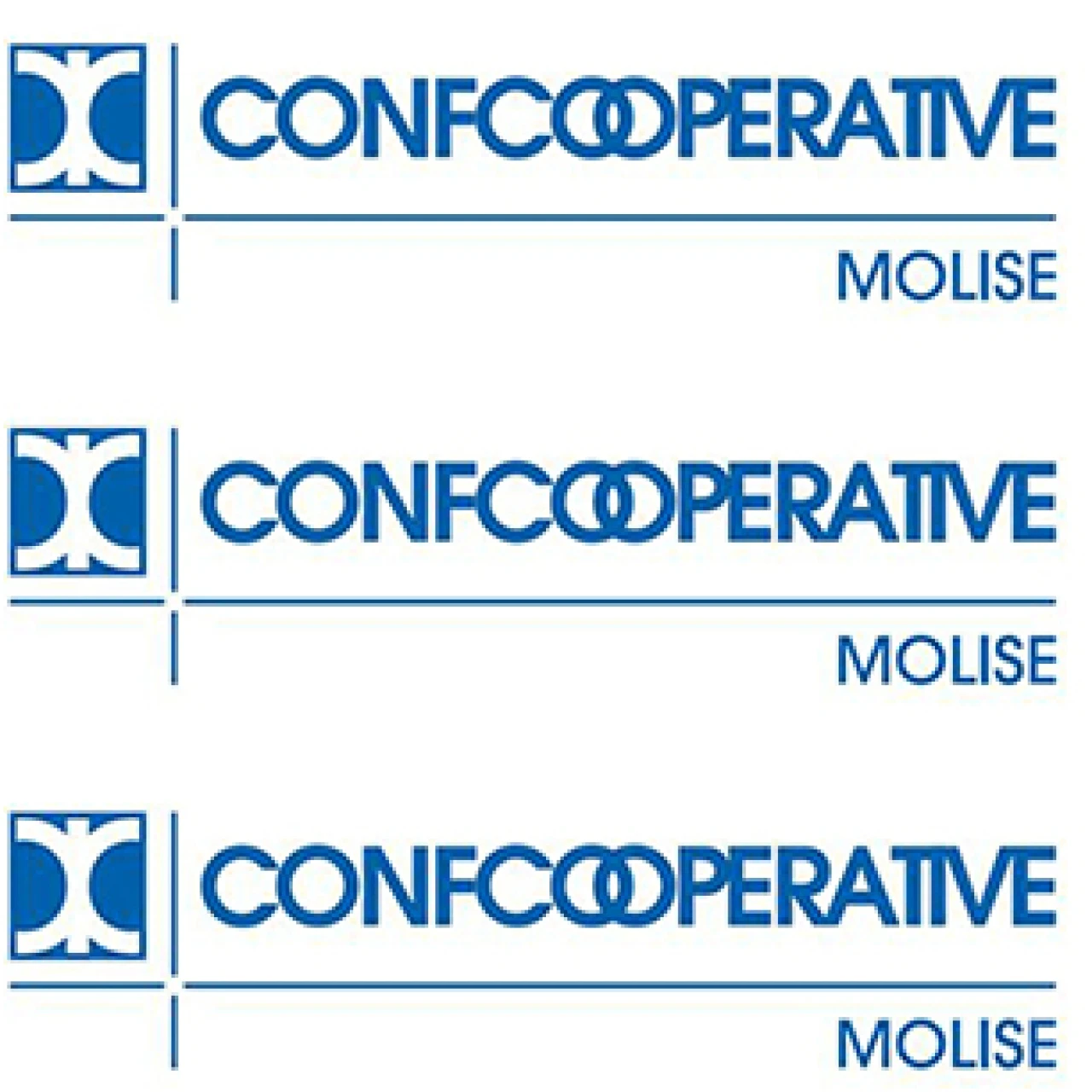 Banner Confcooperative 306 per 306 pixel